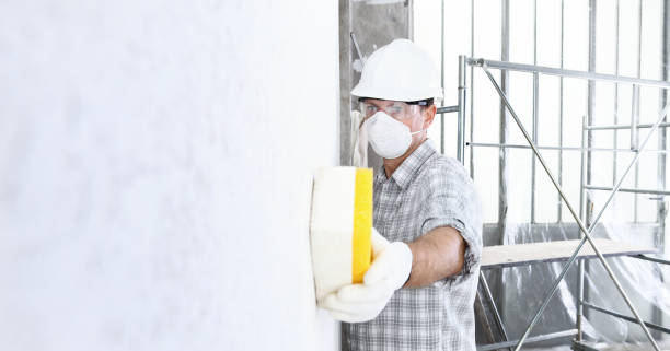 Why You Should Choose Our Mold Remediation Services in Sloatsburg, NY